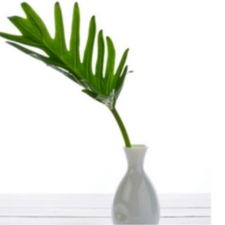 one faux big leaf in vase