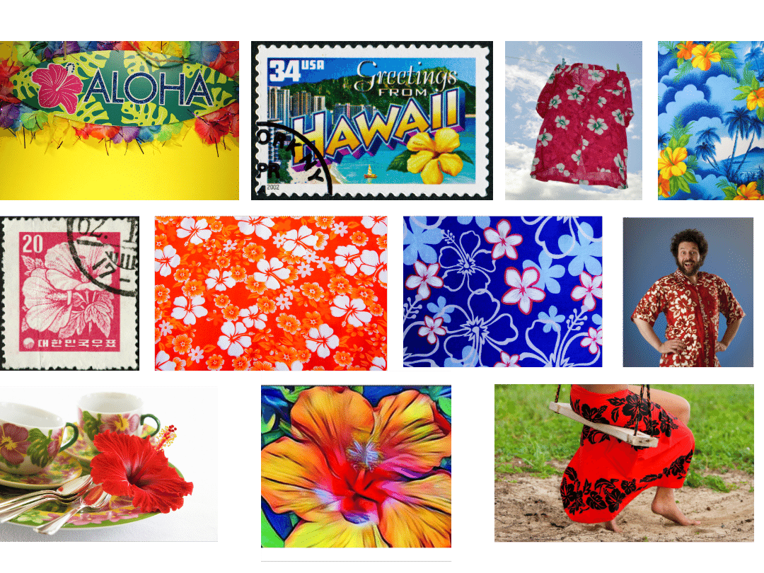 3 rows of 4 photos showing hibiscus images on stamps, material, teacup, and more