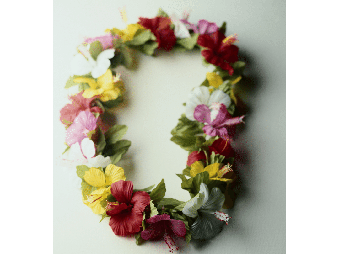 Lei made from yellow, white, pink and red hibiscus flowers