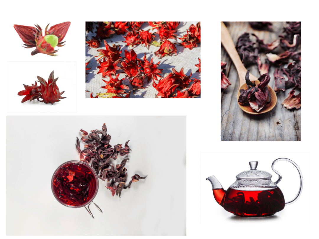 4 photos of hibiscus calyx and 2 showing calyx in hibiscus tea