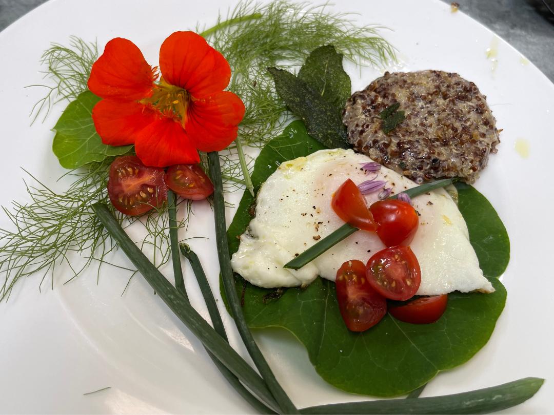 Large nasturtium leaf with a poached egg, chive stem and cherry tomatoes atop; also on the plate are a scoop of quinoa and garnish of nasturtium flower, leaf, halved cherry tomato an fresh dill sprigs. All on a white plate. 