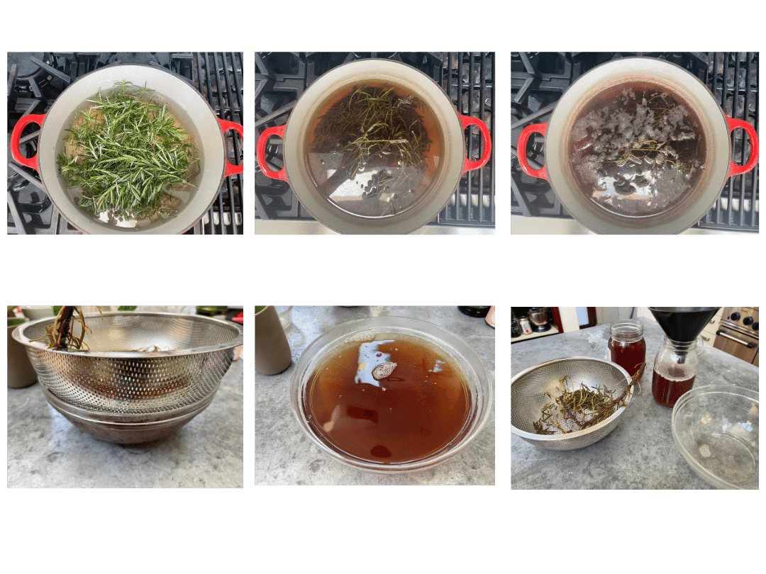 6 images showing stages of how to make rosemary water, including fresh rosemary in water, simmering, steeping, straining, rosemary water, and leftover sprigs