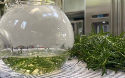 How to Make Rosemary Water for Your Skin, Hair & More