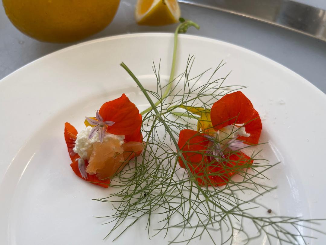 Two nasturtium flowers filled with cream cheese and smoked salmon, on a white plate garnished with a sprig of fresh dill. 