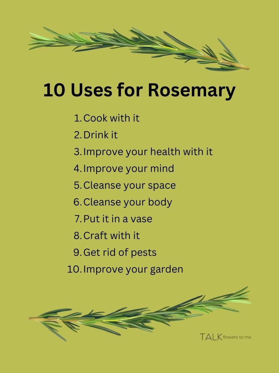 black bold type reading, "10 uses for rosemary" and the numbered list of uses below. Background is olive green. Photos of a rosemary sprig at top and bottom of list