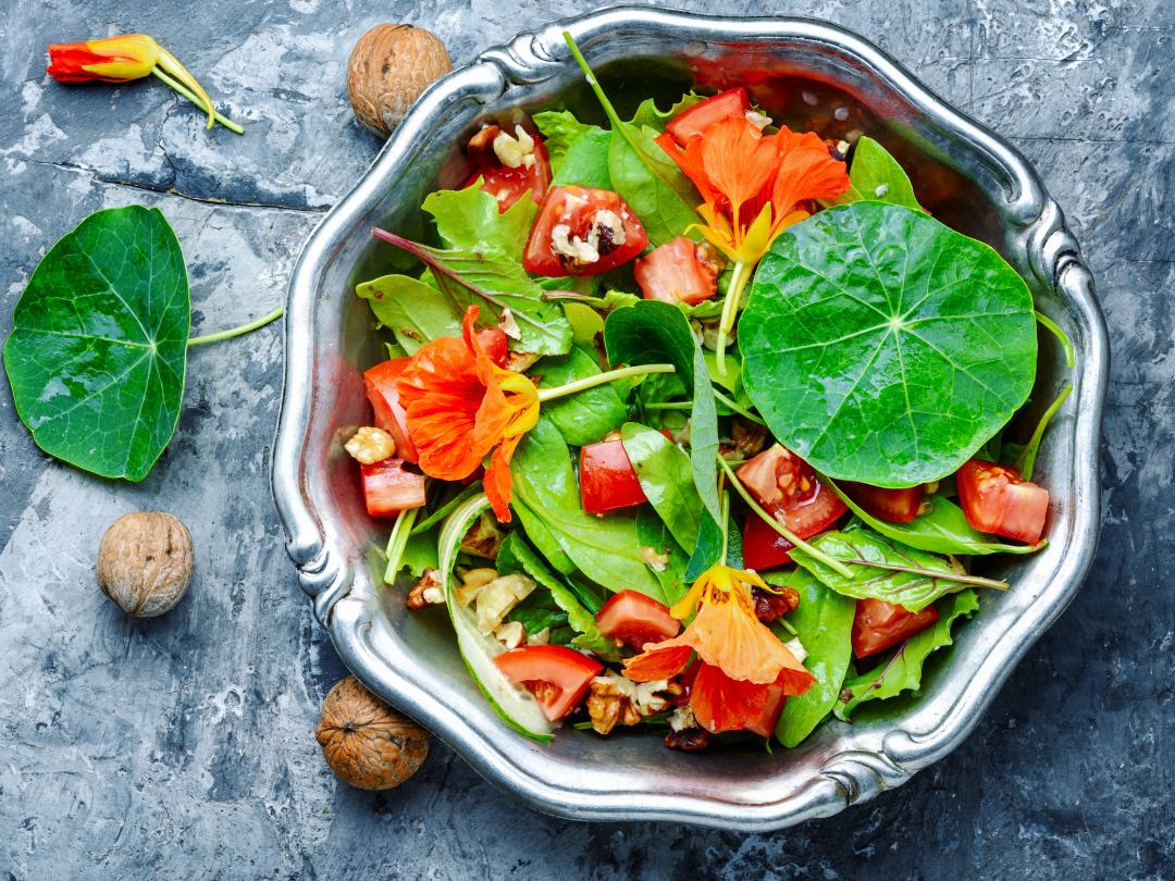 mixed salad with nasturtium flowers and leaves, baby greens, tomatoes and walnuts in a silver bowl. Three whole walnuts in the shell and a nasturtium leaf and flower bud are on the countertop next to the salad bowl. 