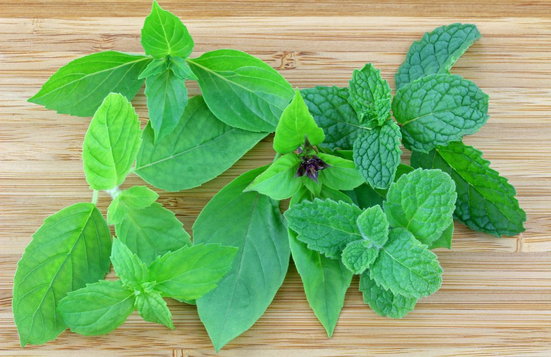 various types of mint leaves on a wood table