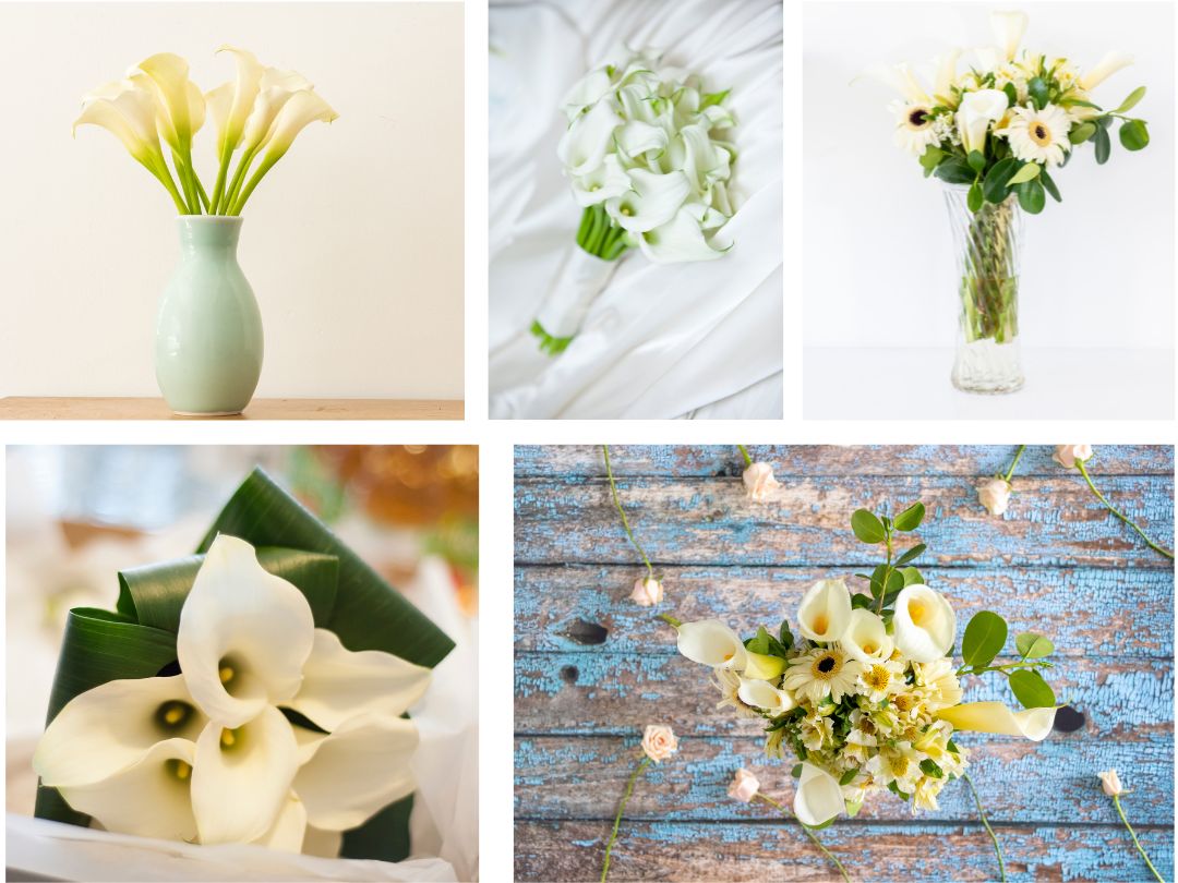 4 photos of calla lilies in floral arrangements